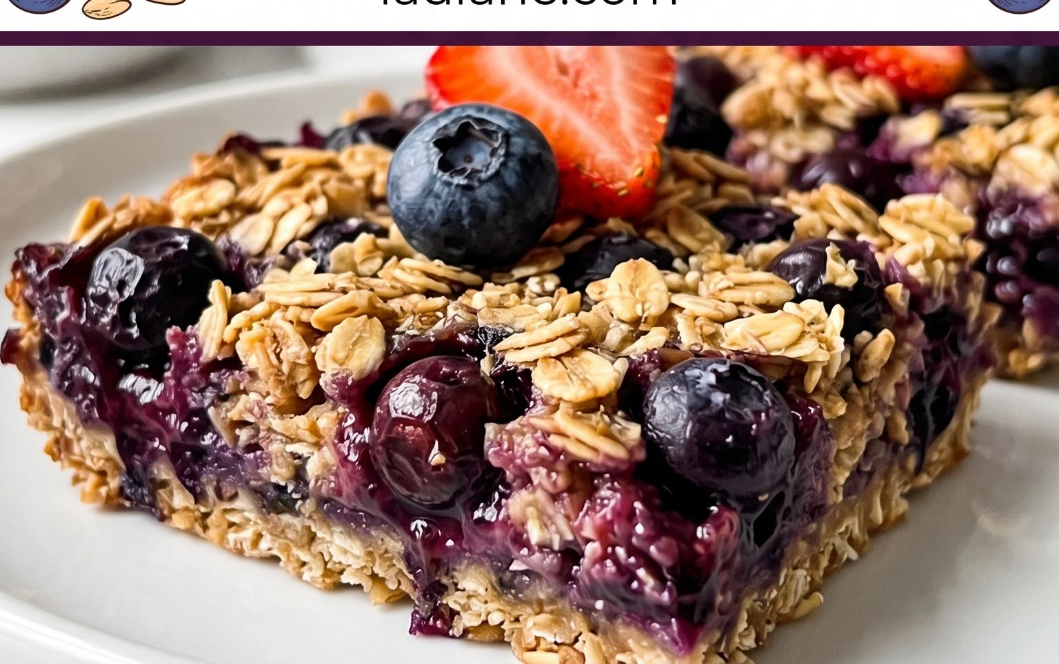 Blueberry Oatmeal Bars